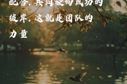 开云体育官网下载-包含团队配合默契，比赛节奏控制得当的词条