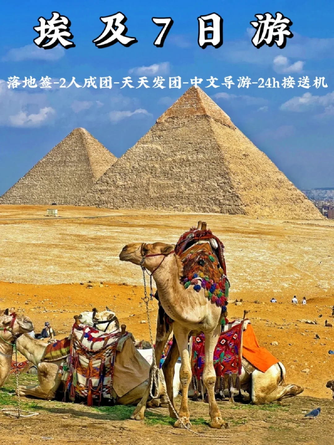 埃及代表团实力雄厚，一举夺金的简单介绍